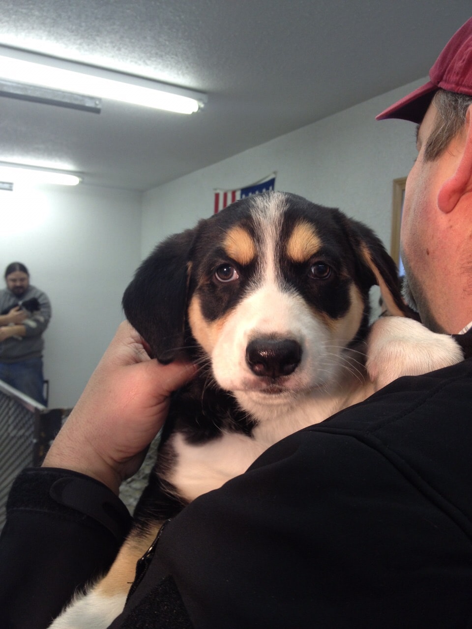 Puppy being held up close to the camera indoors