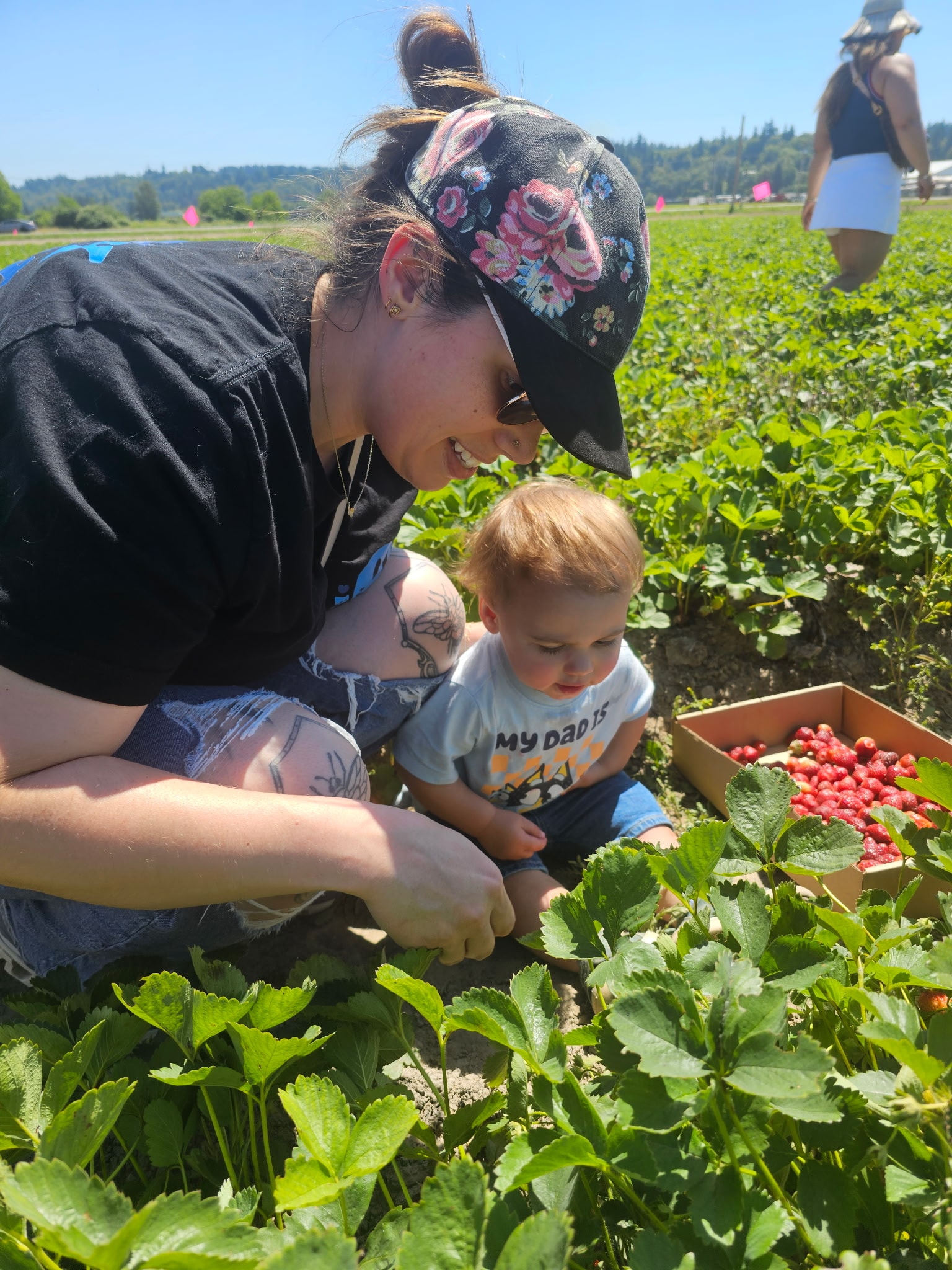 Mother and toddler picking strawberries in a sunny field