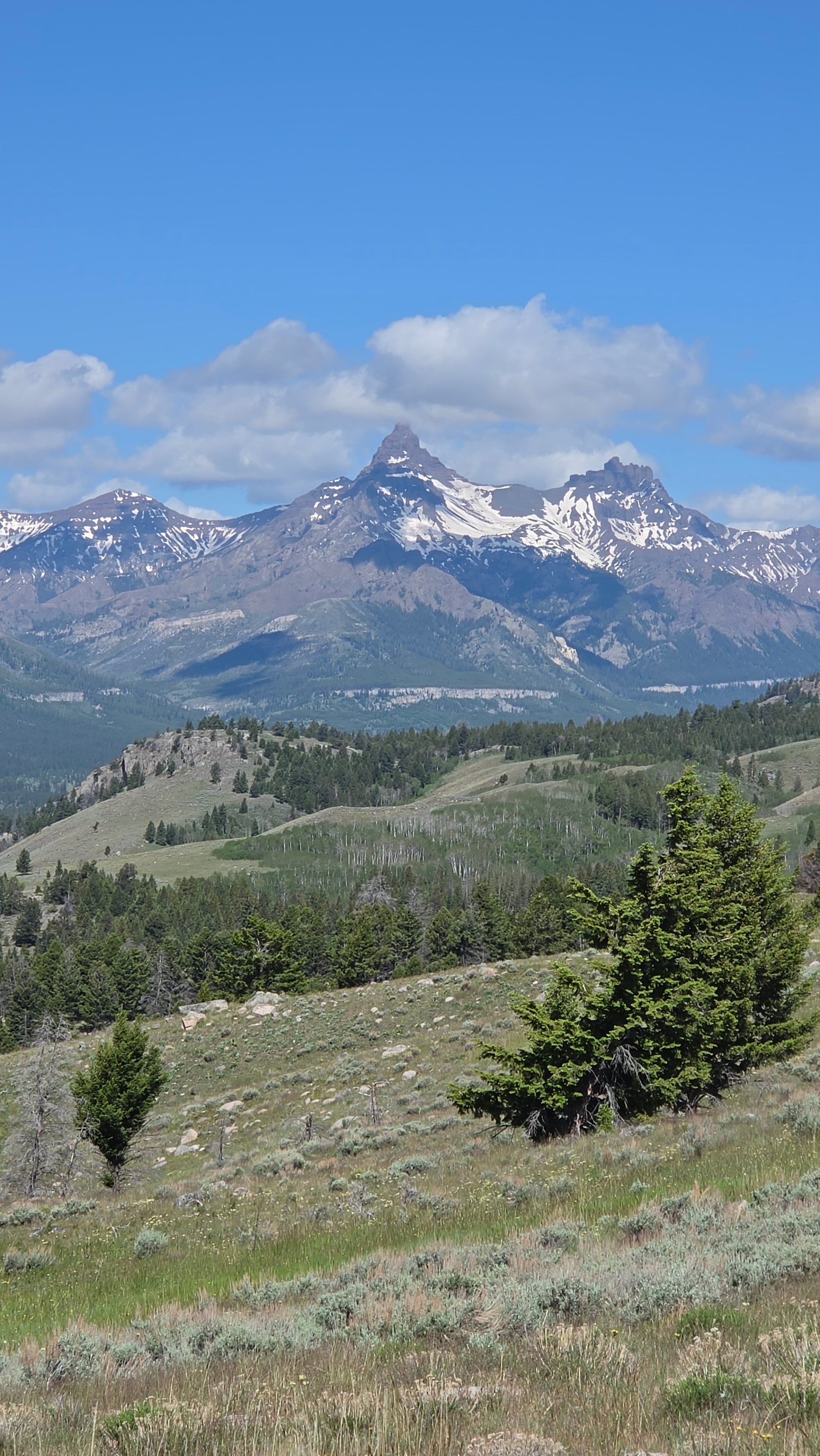 Snow-capped mountain peaks with alpine meadow and blue sky
