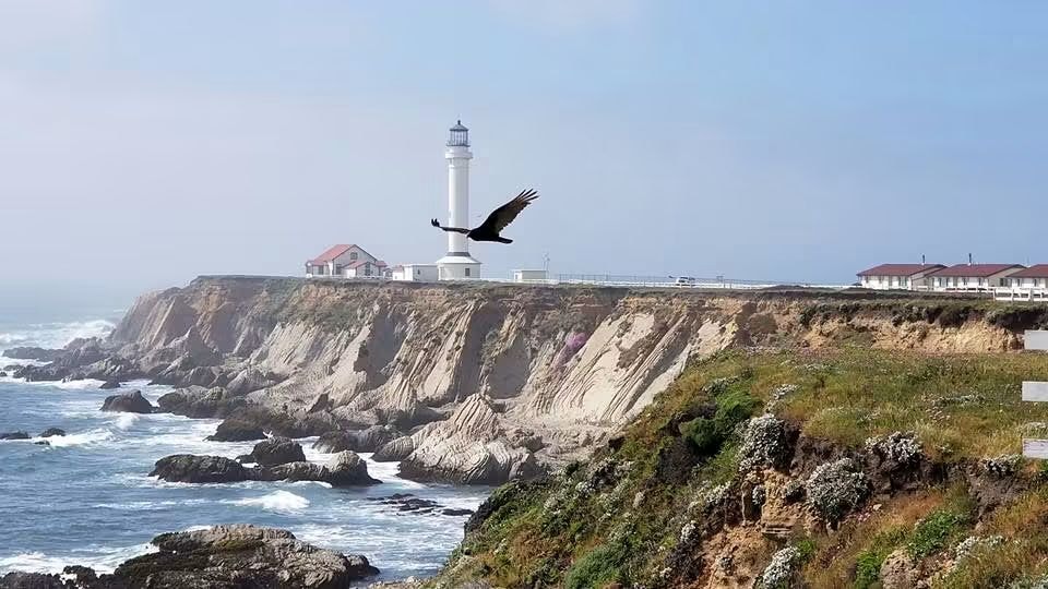 Point Arena lighthouse on coastal cliffs with eagle in flight
