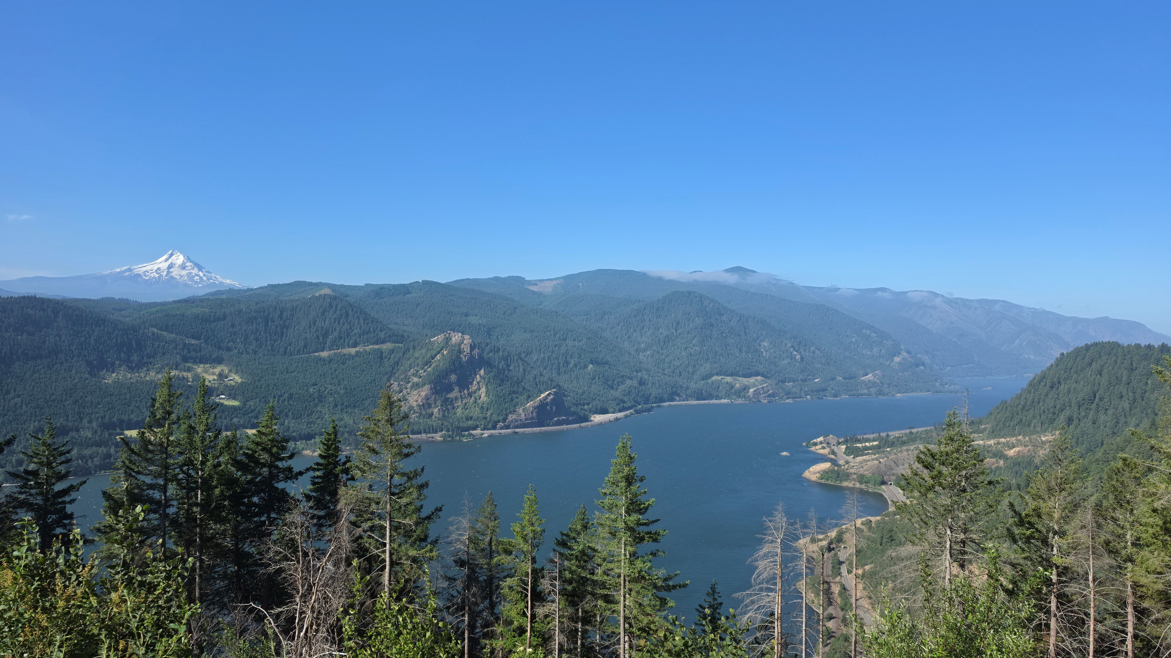 Mountain lake surrounded by pine forest