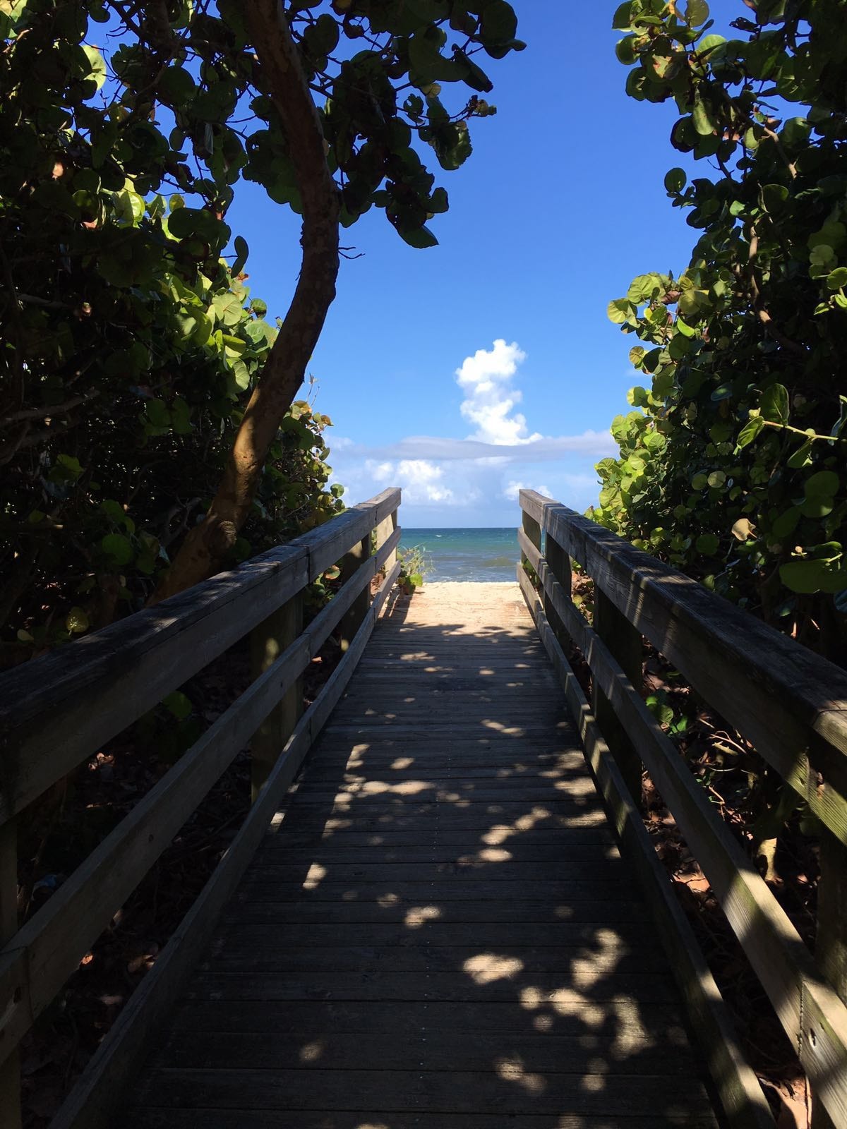 Wooden boardwalk leading through tropical vegetation to the beach and ocean