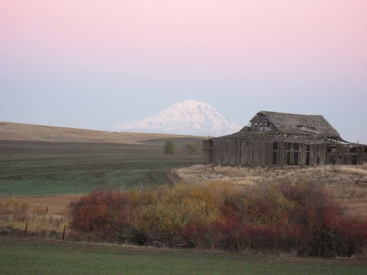 Abandoned homestead with Mt. Rainier in the distance at dusk